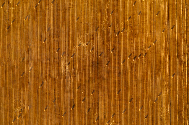 agriculture-gec5df3f99_640