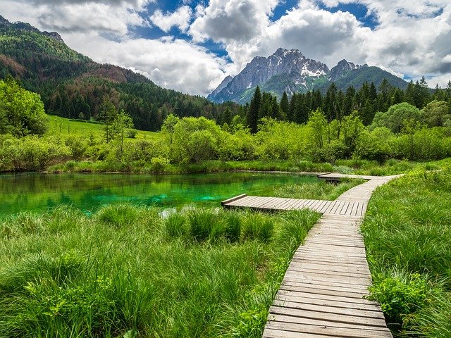zelenci-g5db680f4e_640